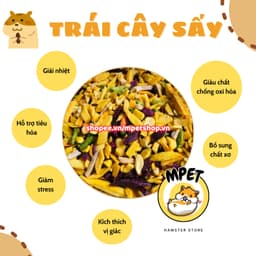 [50Gr - Snack ăn dặm] TRÁI CÂY SẤY - VỐ BÉO, HỖ TRỢ TIÊU HÓA, BỔ SUNG CHẤT XƠ 2