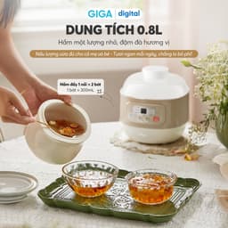 Nồi Nấu Chậm Bear DDZ-A08T8, 0.8L - Công suất 200W - 5 chế độ nấu tự động, Hàng Chính Hãng 7