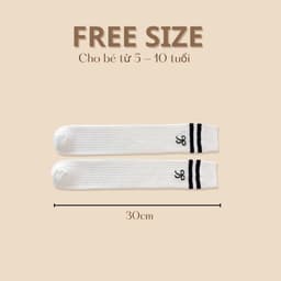 Set 5 Đôi Tất Đùi, Tất Vớ Dài Trẻ Em Style Hàn Quốc Sang Chảnh cho bé từ 1 tuổi đến 10 tuổi te106 9