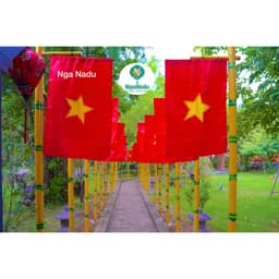 Lá Cờ Tổ Quốc To, Cờ Đảng búa liềm -Lá Cờ đỏ sao vàng Quốc Kỳ Việt Nam,Cờ Đội,Cờ Đoàn treo Tết, nhà cửa,đường phố 6