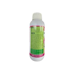 CANXIBO SỮA CHAI 1 LÍT LỚN TRÁI, CHỐNG RỤNG HOA TRÁI NON, TĂNG ĐẬU TRÁI 2