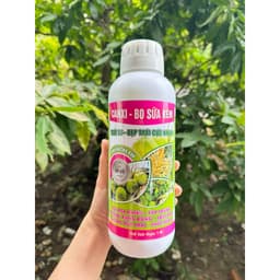 CANXIBO SỮA CHAI 1 LÍT LỚN TRÁI, CHỐNG RỤNG HOA TRÁI NON, TĂNG ĐẬU TRÁI 6