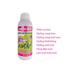CANXIBO SỮA CHAI 1 LÍT LỚN TRÁI, CHỐNG RỤNG HOA TRÁI NON, TĂNG ĐẬU TRÁI 1