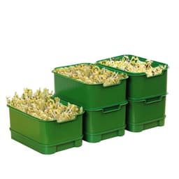 Khay Trồng Giá Đỗ, Trồng Rau Mầm Tại Nhà Không Cần Tưới Nước Hộp Làm Giá Đỗ Cho Dân Văn Phòng AMIZIN 7