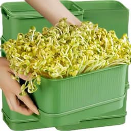 Khay Trồng Giá Đỗ, Trồng Rau Mầm Tại Nhà Không Cần Tưới Nước Hộp Làm Giá Đỗ Cho Dân Văn Phòng AMIZIN 6