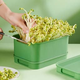 Khay Trồng Giá Đỗ, Trồng Rau Mầm Tại Nhà Không Cần Tưới Nước Hộp Làm Giá Đỗ Cho Dân Văn Phòng AMIZIN 5