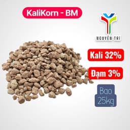 Phân bón KaliKorn - BM Korn Kali Plus bao 25kg (Kali 32%, Đạm 3%) - Giúp cây ra hoa,  tăng năng suất 5