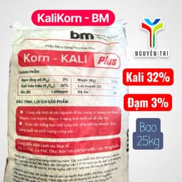 Phân bón KaliKorn - BM Korn Kali Plus bao 25kg (Kali 32%, Đạm 3%) - Giúp cây ra hoa,  tăng năng suất 3