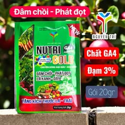 Phân bón Nutri Gold GA4 - Kích thích đâm chồi, phát đọt, lá xanh dày, tăng kích thước trái 4