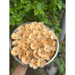 Bông Hoa Cúc Violet Xốp Size 5cm Hoa Cúc Cao Cấp, điểm bó hoa, Phụ Kiện Trang Trí Bánh Kem 6