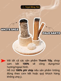 Gỗ Palo Santo Thanh tẩy, Gỗ Trắc Xanh làm sạch không gian, thu hút tài lộc Tarot Đồng Tâm 1
