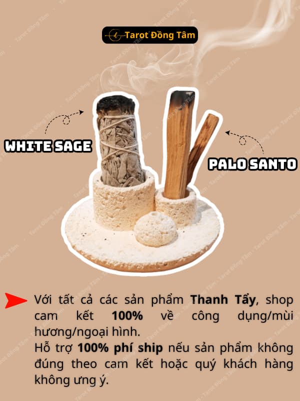 Gỗ Palo Santo Thanh tẩy, Gỗ Trắc Xanh làm sạch không gian, thu hút tài lộc Tarot Đồng Tâm