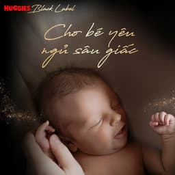 (Mua 2 tặng 1) Tã quần Huggies Siêu cao cấp Black Label mới nhập khẩu L32, XL28, XXL24 6