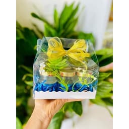 Hộp đựng yến chưng loại quai xách tiện lợi sang trong 4