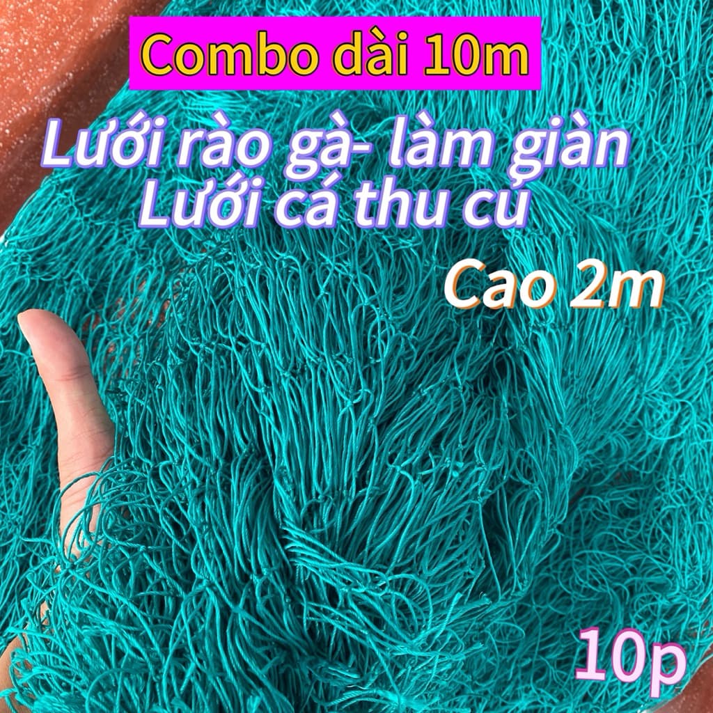 Dài 10m Lưới rào gà, rào sân bóng, làm giàn leo, khổ rộng 2m, mắt lưới 1 tất.