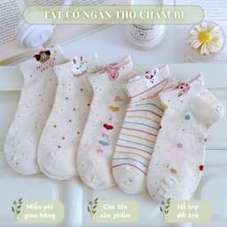 Set 5 Đôi Tất icon Thỏ Gấu Màu Muối Tiêu Cổ Ngắn Dễ Thương tt82 1