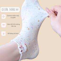 Set 5 Đôi Tất icon Thỏ Gấu Màu Muối Tiêu Cổ Ngắn Dễ Thương tt82 5