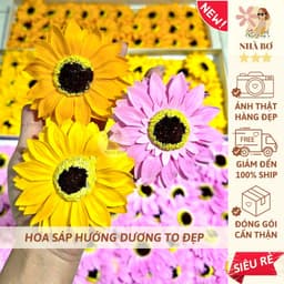 !! 50 150 250 hoa sáp hướng dương vàng cam hồng to bự tặng lễ tốt nghiệp trang trí  1