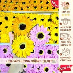 !! 50 150 250 hoa sáp hướng dương vàng cam hồng to bự tặng lễ tốt nghiệp trang trí  2