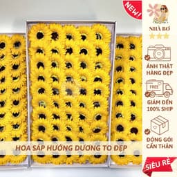 !! 50 150 250 hoa sáp hướng dương vàng cam hồng to bự tặng lễ tốt nghiệp trang trí  3