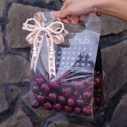 Combo 5 Túi mica in lịch, Túi lịch đựng quà Valentine, Túi lịch đựng hoa và bánh 9