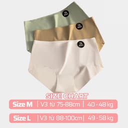 COMBO 10 Quần Lót Nữ Su Lạnh 7A Không Viền Không Đường May Đáy Cotton 2 Lớp Kháng Khuẩn Lê Ngọc 479 3