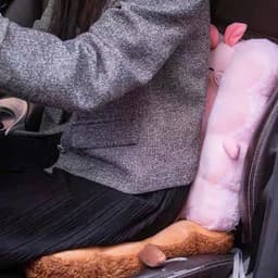 Đệm Ngồi Ghế Hình Thú Ngộ Nghĩnh, Đệm Tựa Lưng Văn Phòng Êm Ái Mẫu Mới Kích Thước 40x40cm 3