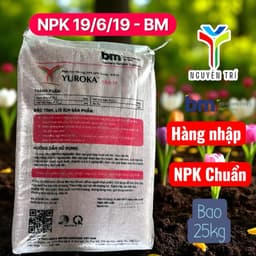 Phân bón NPK Yuroka 19-6-19 - Hàng nhập khẩu Đức - Dưỡng trái, lớn trái, chắc hạt, bao 25kg 5