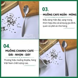 Combo 10 muỗng inox 430 Anpha Cook hàng Việt Nam chất lượng, pha cà phê, trà, pannacotta Mixmore 5
