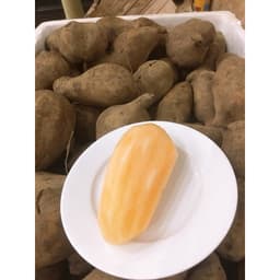 [Đầu Vụ] Khoai Sâm Tây Bắc Tươi Ngon (Củ Bé, 5-6 Củ/kg) - Khoai Sâm Đất Giòn Ngọt, Mát Lành 5