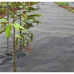 Bạt phủ chống cỏ cuộn dài 200m khổ rộng từ 50cm đến 1,2m 2