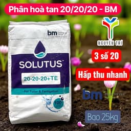 Phân bón BM NPK Solutus 20-20-20+TE - Nhập khẩu - Tan hoàn toàn trong nước, bao 25kg 3