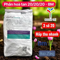 Phân bón BM NPK Solutus 20-20-20+TE - Nhập khẩu - Tan hoàn toàn trong nước, bao 25kg 4