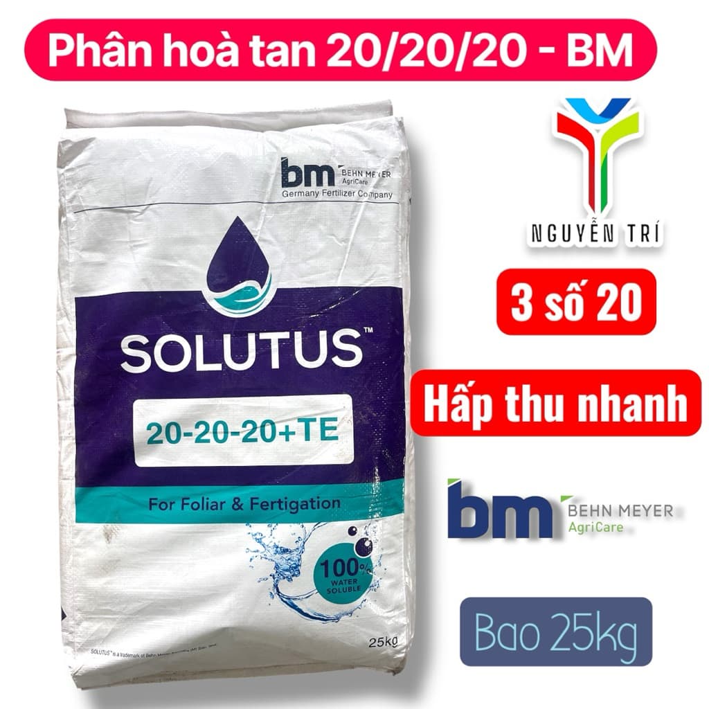 Phân bón BM NPK Solutus 20-20-20+TE - Nhập khẩu - Tan hoàn toàn trong nước, bao 25kg