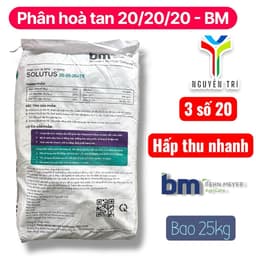 Phân bón BM NPK Solutus 20-20-20+TE - Nhập khẩu - Tan hoàn toàn trong nước, bao 25kg 2