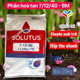 Phân bón NPK Solutus 7-12-40+1.2Mg+TE - Tan hoàn toàn -Giúp trái to, tăng độ ngọt, nặng ký, bao 25kg 4