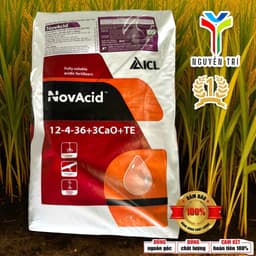 Phân bón NPK NovAcid 12-4-36+3CaO+TE - ICL Israel - Giúp trái to, tăng ngọt, nặng ký, bao 25kg 5