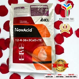 Phân bón NPK NovAcid 12-4-36+3CaO+TE - ICL Israel - Giúp trái to, tăng ngọt, nặng ký, bao 25kg 3