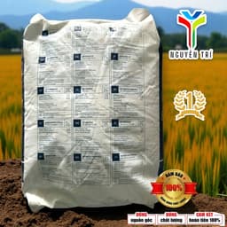 Phân bón Kali Nitrate Multi-K GG 13.5-0-46.2 - Haifa Israel - Tan hoàn toàn, nặng ký, bao 25kg 7