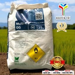 Phân bón Kali Nitrate Multi-K GG 13.5-0-46.2 - Haifa Israel - Tan hoàn toàn, nặng ký, bao 25kg 4