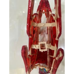 Lồng đèn trung thu kiếng mini hình thỏ thủ công truyền thống decor trang trí hình ngôi sao mini 10cm 5