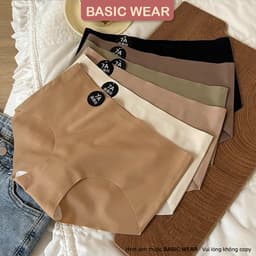 [ HÀNG CHUẨN] Quần Lót Nữ BASICWEAR Đúc Su Tàng Hình Không Viền Không Đường May Tôn Dáng 7A 5