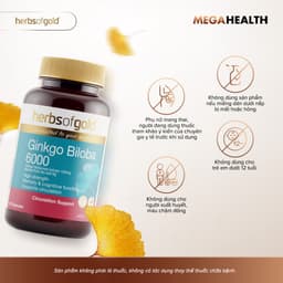 Viên Uống Ginkgo Biloba 6000 Herbs of Gold – Hỗ Trợ Tuần Hoàn Máu Não, Tăng Cường Tập Trung, Giảm Mệt Mỏi – Hộp 60 Viên 2