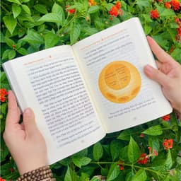 Sách - Giải Mã Thiền Định Và Giải Thoát - Vĩnh Nghiêm Books 3