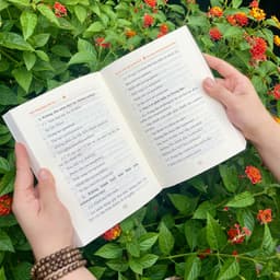 Sách - Giải Mã Thiền Định Và Giải Thoát - Vĩnh Nghiêm Books 4