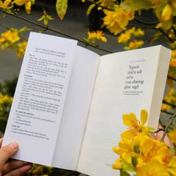 Sách - Người Thiện Nữ Trên Con Đường Giác Ngộ - Vĩnh Nghiêm Books 3