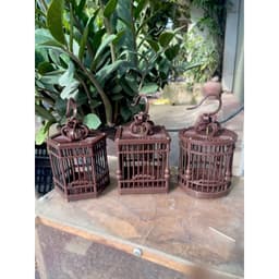 Lồng Nuôi Khuyên-Hút Mật Ngồi Cafe,Lồng Trang Trí Đẹp, thuần chim, Lồng Mini nhựa kích thước 9x9x8cm
 2