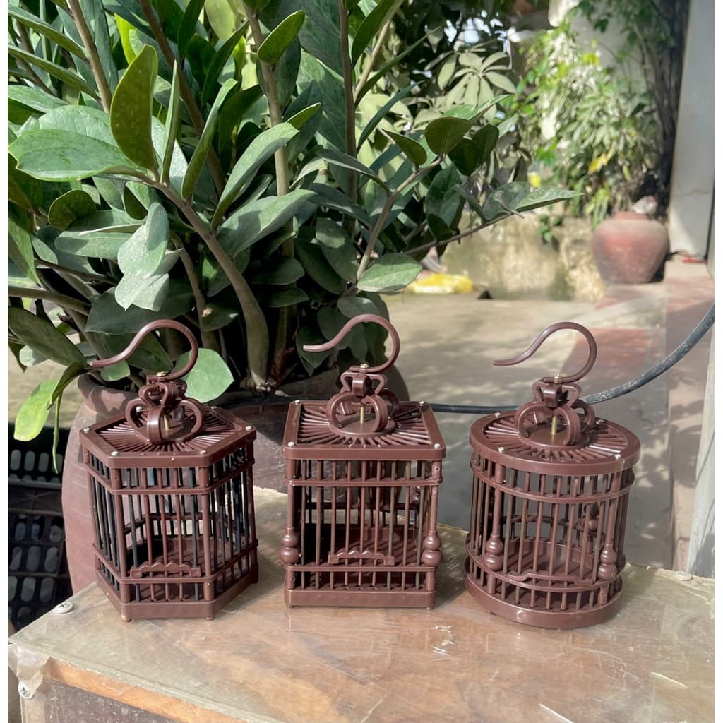Lồng Nuôi Khuyên-Hút Mật Ngồi Cafe,Lồng Trang Trí Đẹp, thuần chim, Lồng Mini nhựa kích thước 9x9x8cm
