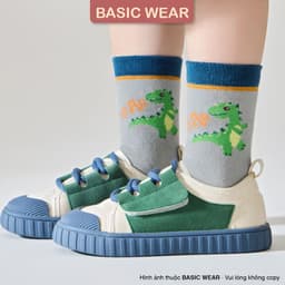 Set 5 Đôi Tất Khủng Long Cổ Cao Chống Trơn Cho Bé Trai 1-12 Tuổi, Tất Chống Trơn Cho Bé Trai TE904 8