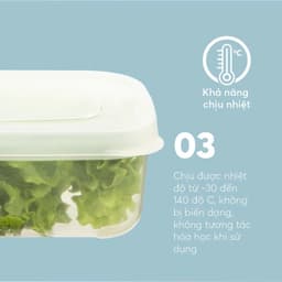 Bộ 3 hộp Nhựa Đựng Thực Phẩm Chữ Nhật Inochi | Trong Suốt Kín Khí, Chịu Nhiệt, An Toàn Sức Khỏe 8